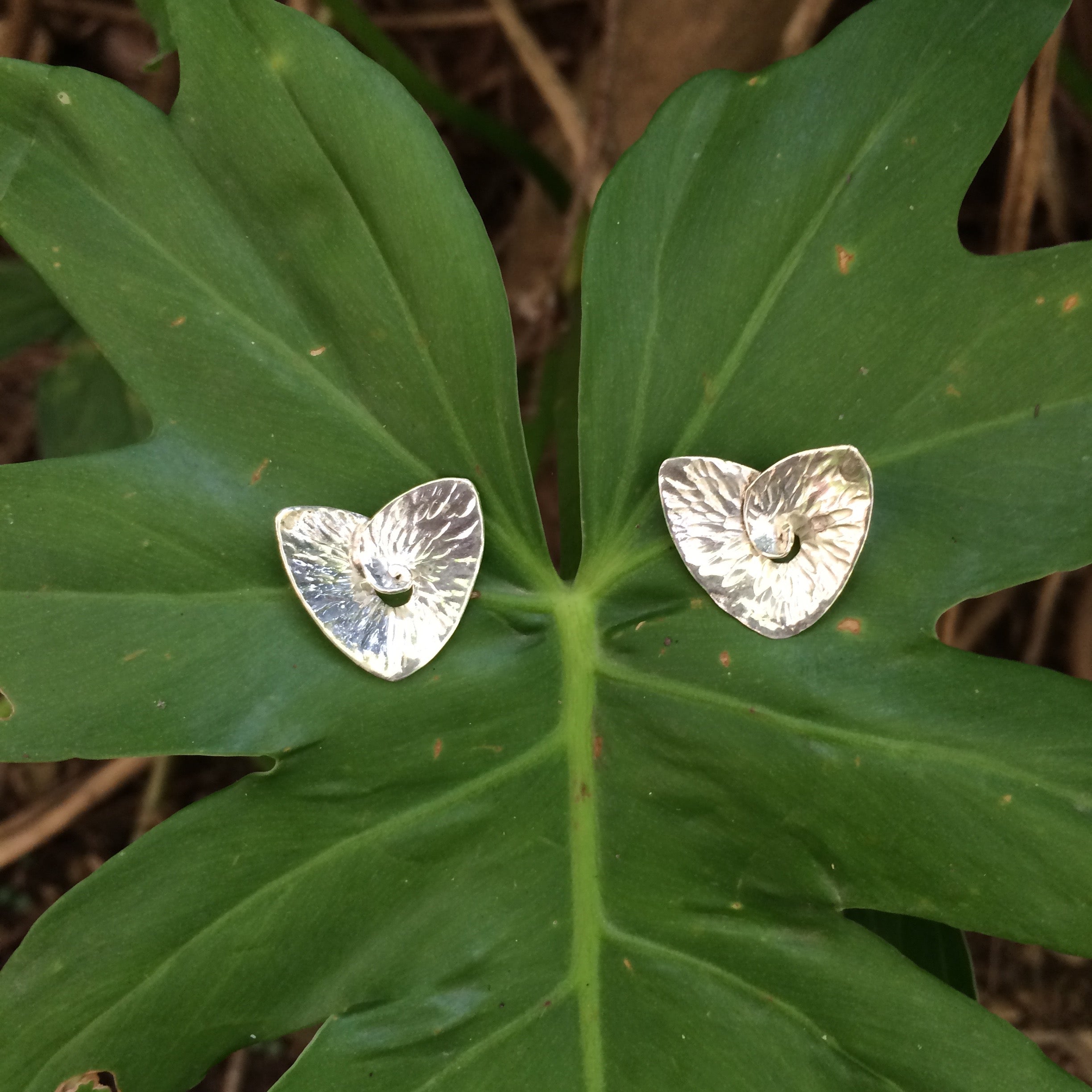 TEXTURED SHELL EARRINGS